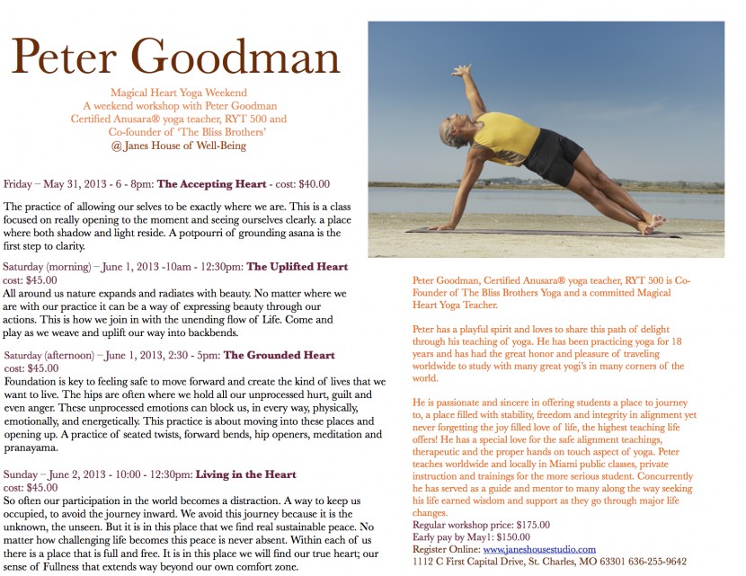 Peter Goodman for the board-- flyer