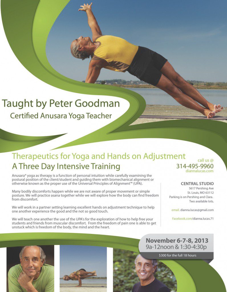 St Louis Training-FINAL_peter-goodman-nov6-8b